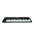 products/m-audio-axiom-49-key-usb-midi-keyboard-controller-pro-music-equipment-midi-controllers-buy-m-audio-axiom-49-key-usb-midi-keyboard-controller-29304935743532.jpg