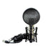 products/rode-nt1-a-anniversary-vocal-cardioid-condenser-microphone-nofeka-uganda-studio-microphones-buy-rode-nt1-a-anniversary-condenser-microphone-online-30171889106988.jpg